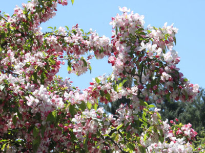 ir-130501_09989_11-48L.jpg