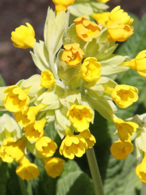 ir-130501_10007_12-00P.jpg