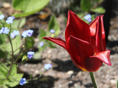 ir-130501_10025_12-22L.jpg