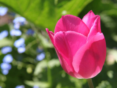 ir-130501_10027_12-22L.jpg