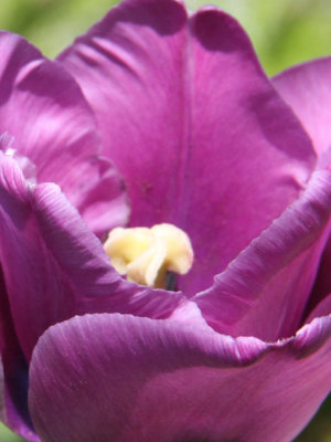 ir-130501_10031_12-23P.jpg