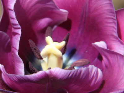 ir-130501_10032_12-23L.jpg