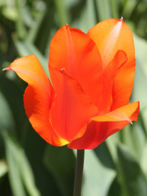 ir-130501_10056_12-34P.jpg