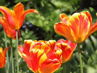 ir-130501_10058_12-34L.jpg