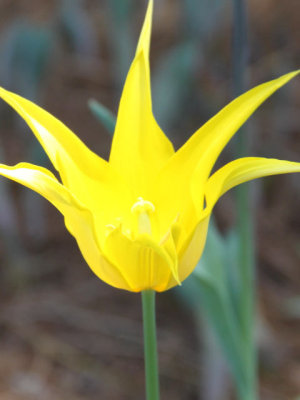 ir-130501_10069_12-40P.jpg