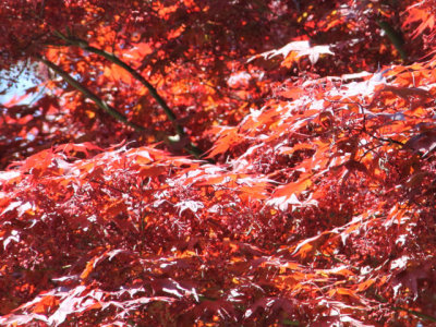 ir-130501_10071_12-43L.jpg