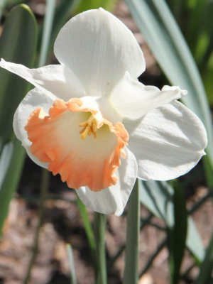 ir-130501_10087_13-17P.jpg