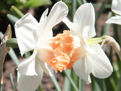 ir-130501_10088_13-17L.jpg
