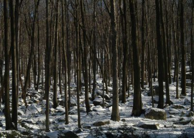 ir-DSC_0068_CR5x7L.jpg