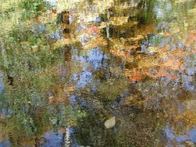 R-10180017_SaddleRiverMagic.jpg
