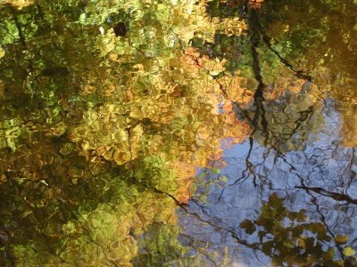 R-10180040_StainedGlassSaddleRiver.jpg