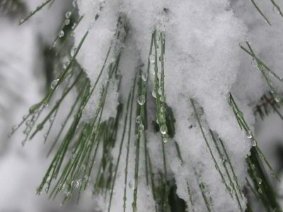 R-03182680_MarchSnow.jpg