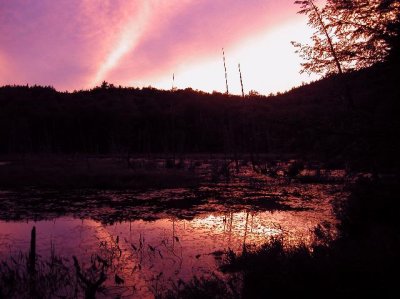 R-08283918_mudpond.jpg
