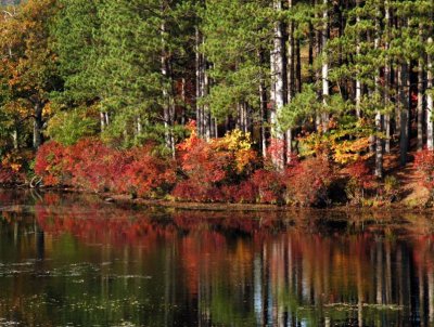 ir-200310142925_LakeKanawaukeHarriman_CR.jpg