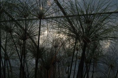 ir-DSC_0073.jpg