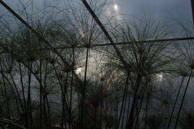 ir-DSC_0074.jpg