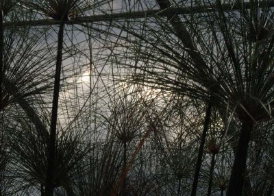 ir-DSC_0073_5x7L.jpg