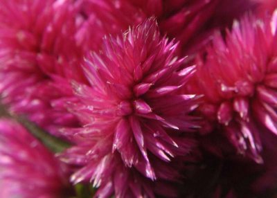 ir-DSC_0093_5x7L.jpg
