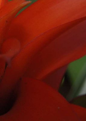 ir-DSC_0100_5x7P.jpg