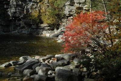 ir-20021020_MinnewaskaStatePark_DSC_0498.jpg