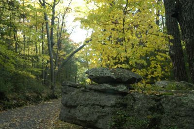 ir-20021020_MinnewaskaStatePark_DSC_0525.jpg