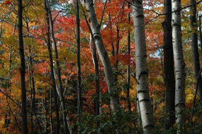 ir-20021020_MinnewaskaStatePark_DSC_0542.jpg