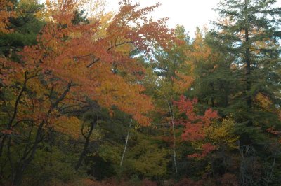 ir-20021020_MinnewaskaStatePark_DSC_0547.jpg