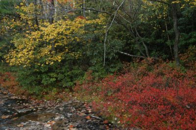 ir-20021020_MinnewaskaStatePark_DSC_0550.jpg