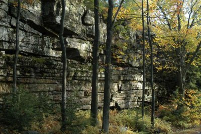 ir-20021020_MinnewaskaStatePark_DSC_0566.jpg