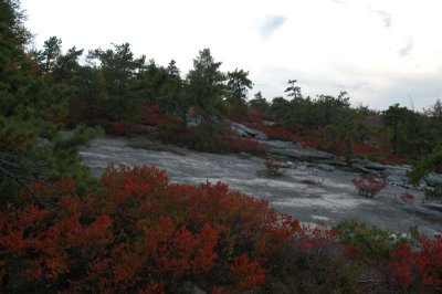 ir-20021020_MinnewaskaStatePark_DSC_0615.jpg