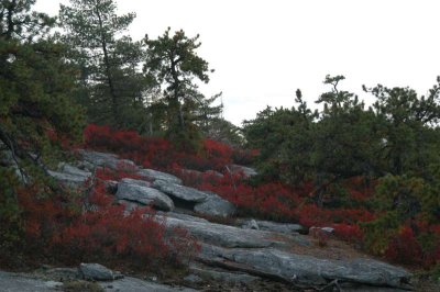 ir-20021020_MinnewaskaStatePark_DSC_0617.jpg