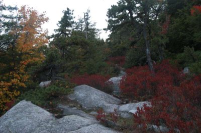 ir-20021020_MinnewaskaStatePark_DSC_0626.jpg