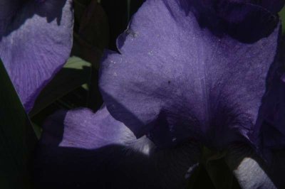 ir-DSC_0058.jpg