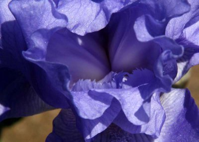 ir-DSC_0002_5x7L_AutoContrast.jpg
