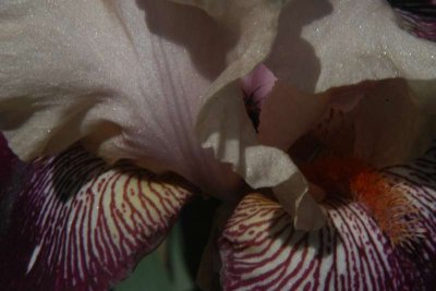 ir-DSC_0044_4x6L.jpg