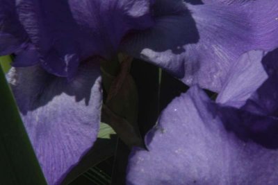 ir-DSC_0059_4x6L.jpg