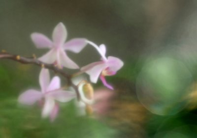 g6/83/606383/3/74165864.Hyue47hr.jpg