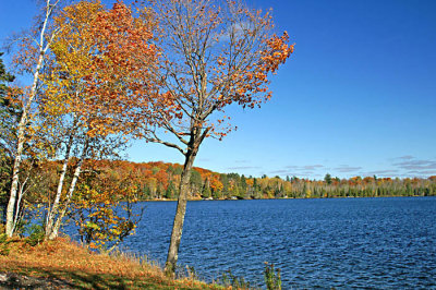 g6/83/606383/3/80062523.39C72NZ2.jpg