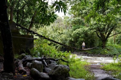 Waihee Valley