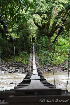 Waihee Valley