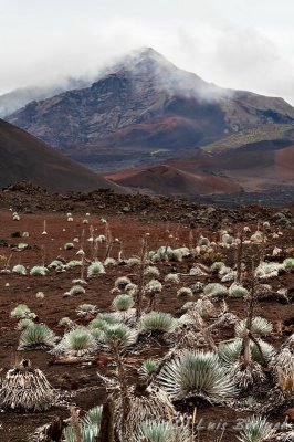 Haleakala