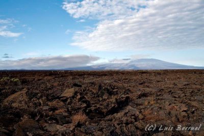 Lava flow