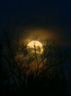 Sinking full moon