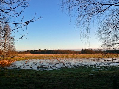 The fields are flooded after the rains