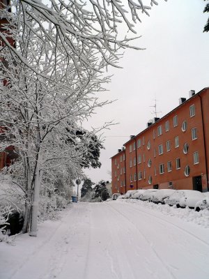 Winter in Hammarbyhjden