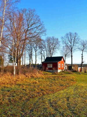 House at the edge of the wood