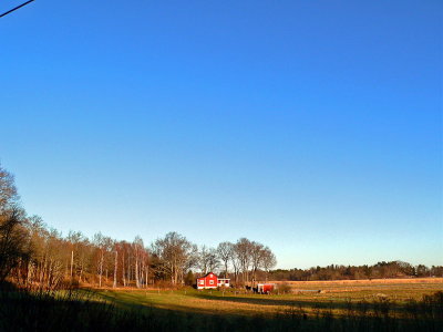 The fields, the forest and a house