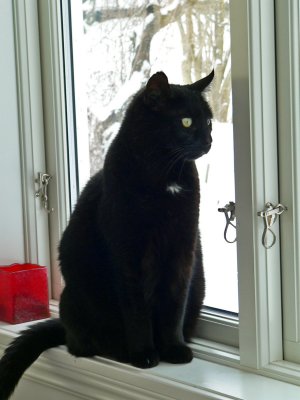 Our old lady