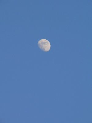 Moon at noon