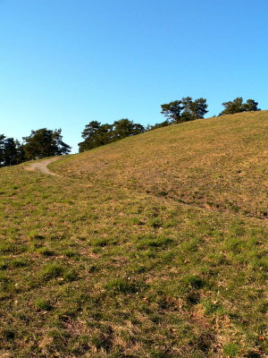 Hill III